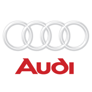 CUstomers UAE_audi